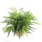 12-Pack: 17" UV Leather Leaf Bush with Lifelike Fronds, Floral Home by Artificial Flowers